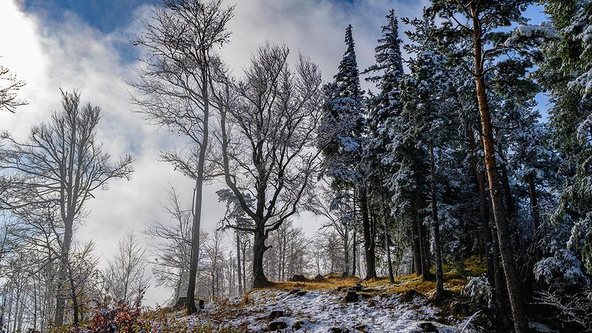 © Holger Woltron Erster Schnee auf der Hohen Wand (Holger Woltron)