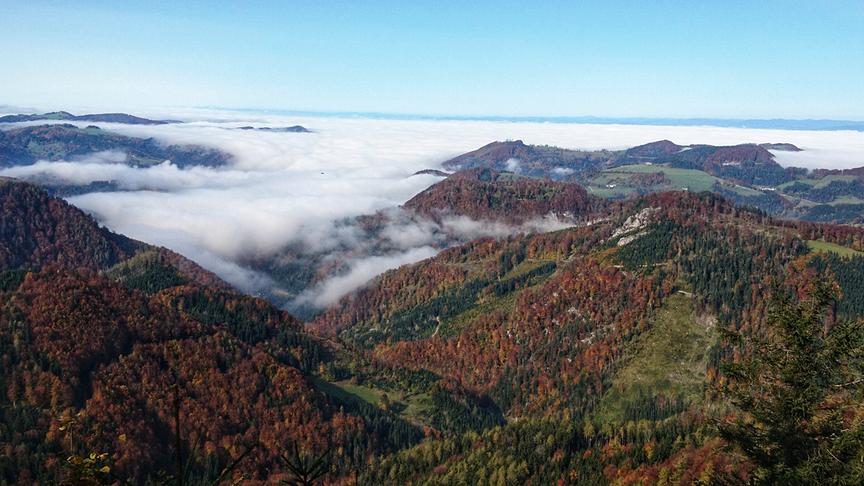 © Susanne Gerstl Indiana Summer und Nebelmeer über dem Erlauftal. (Susanne Gerstl)