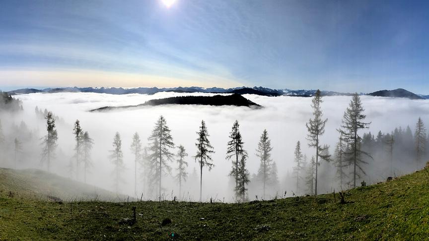 © Carina Blick von der Schwarzeneggalm in St. Martin in Richtung Ennstal. (Carina)