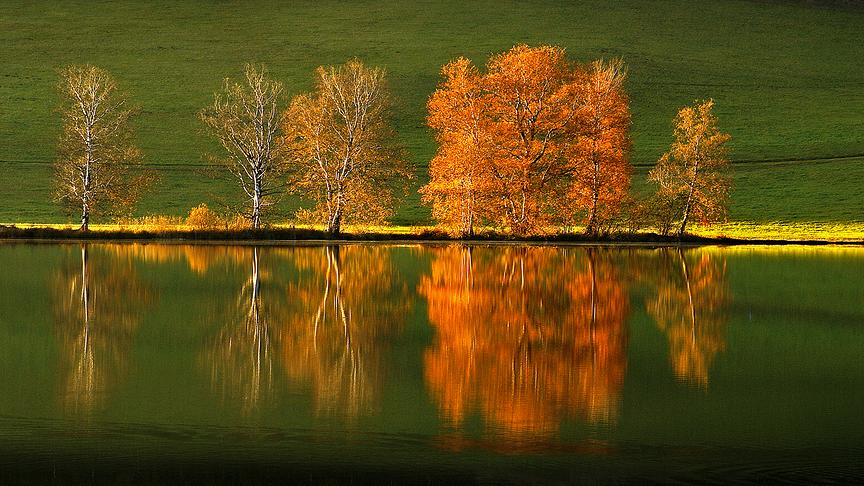 © Siegfried Schlager Spiegelung Putterersee im herbstlichem Glanz. (Siegfried Schlager)