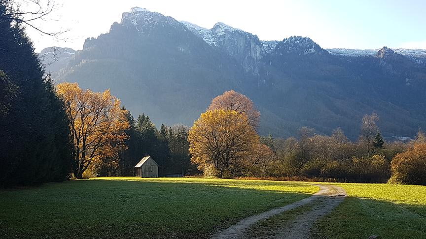 © Karl Pointner Wanderweg Glanstrasse Ri Autobahn. (Karl Pointner)
