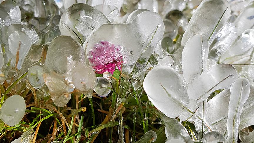 © Marko Hellings Kappl im ewigen Eis. (Marko Hellings)