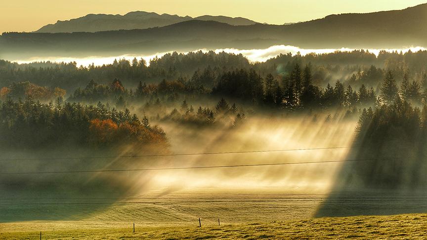 © Doris Stemeseder Sonnenaufgang und der Novembernebel lichtet sich. (Doris Stemeseder)