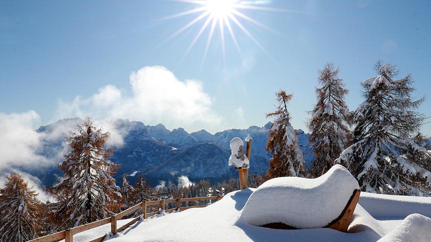 © Caro Guttner Schneeliege am Zettersfeld. (Caro Guttner)