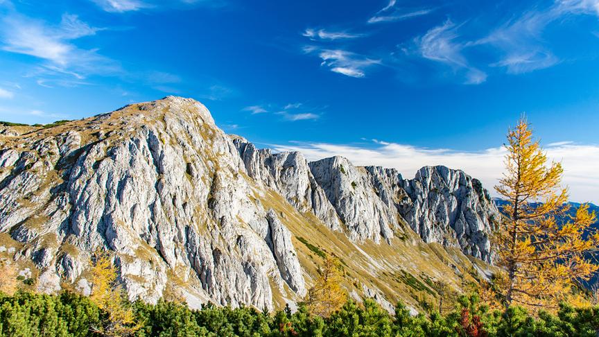 © Günter Krenn Aflenzer Bürgeralm - Blickrichtung Feistringstein. (Günter Krenn)