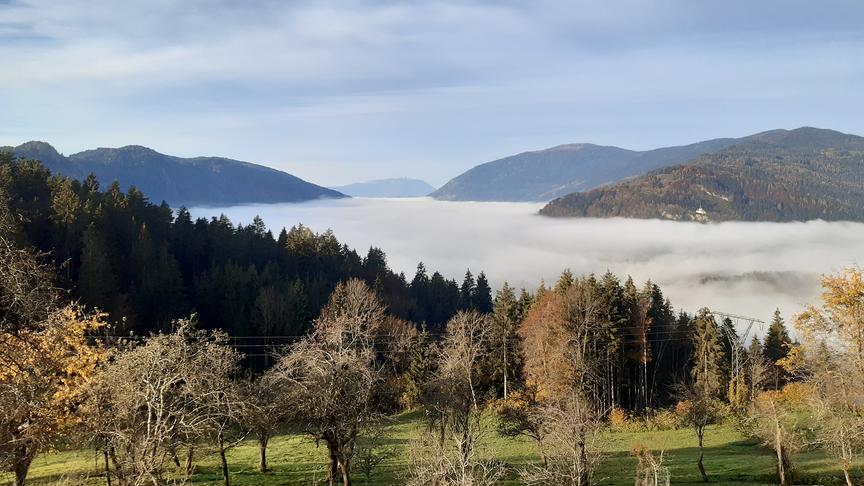 © Lukas Buttazoni Blick von der Pollenitz über das nebelbedeckte Bleistättermoor, zur Gerlitze bis hin zum Dobratsch. (Lukas Buttazoni)