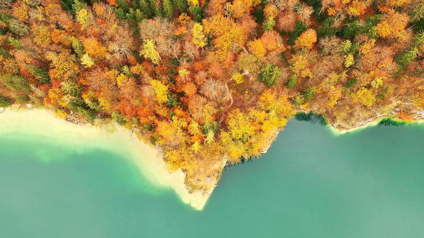 © Franz Kuschei Wunderschönes Farbenspiel im Herbst beim Hochzeitskreuz am Wolfgangsee bei entspannter Wanderung. (Franz Kuschei)