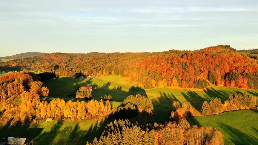© Franz Kuschei Wenn die Schatten länger werden kommt die Herbststimmung zur Geltung. (Franz Kuschei)