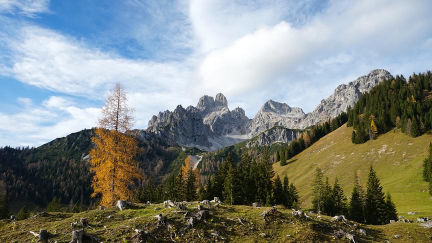 © Annelie Möser An einem der vielen Herbsttage mit Südföhn sind wir dem Regen in Kärnten entflohen und hatten herrliches Wetter bei den Hofalmen (Filzmoos) mit Blick auf die Bischofsmütze. (Annelie Möser)
