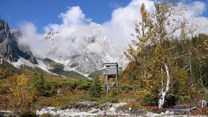 © Peter Herbststimmung am Fuße des Hochkönig's. (Peter)