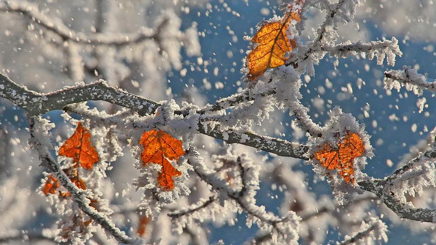 © Peter Grill Es kommt der Winter, der Herbst verabschiedet sich. (Peter Grill)