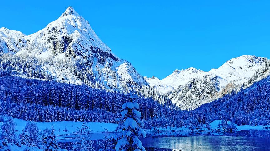 © Evelyn Grießner Riedingspitze mit Schlierersee im Naturpark Riedingtal. (Evelyn Grießner)