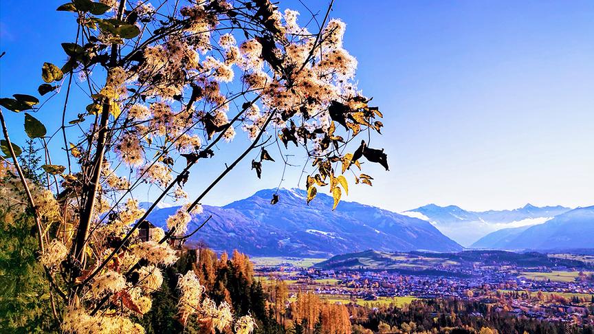 © Georg Ackerer Herrlicher November Sonntag mit Blick auf die Stadt Saalfelden und sein Becken. (Georg Ackerer)