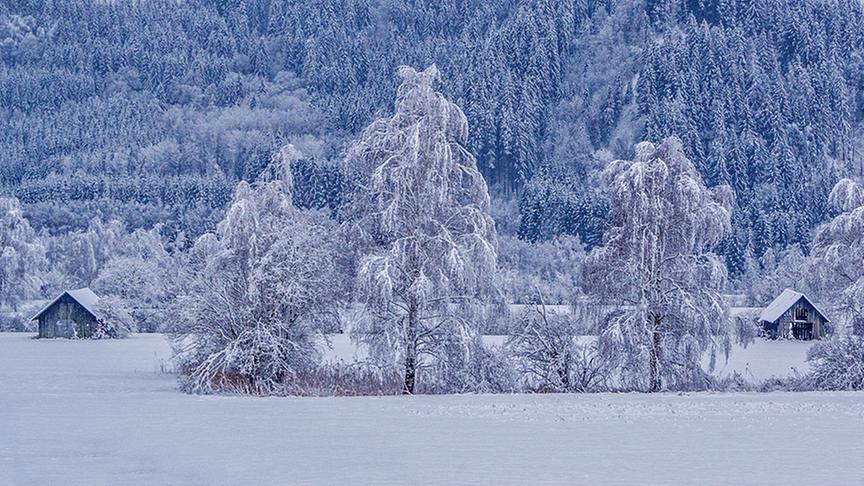 © Siegfried Schlager Wintereinbruch bei Trieben. (Siegfried Schlager)