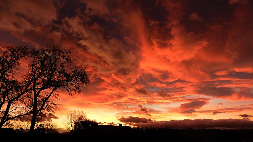 © Josefa Seel Wenn du die Augen öffnest, und DAS siehst. Traumhafte Morgenstimmung am Himmel. (Josefa Seel)