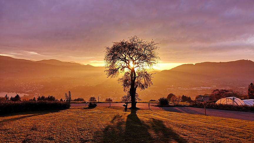 © Simone Kain Sonnenuntergang im Herbst am schönen Mondseeberg/Oberösterreich. (Simone Kain)