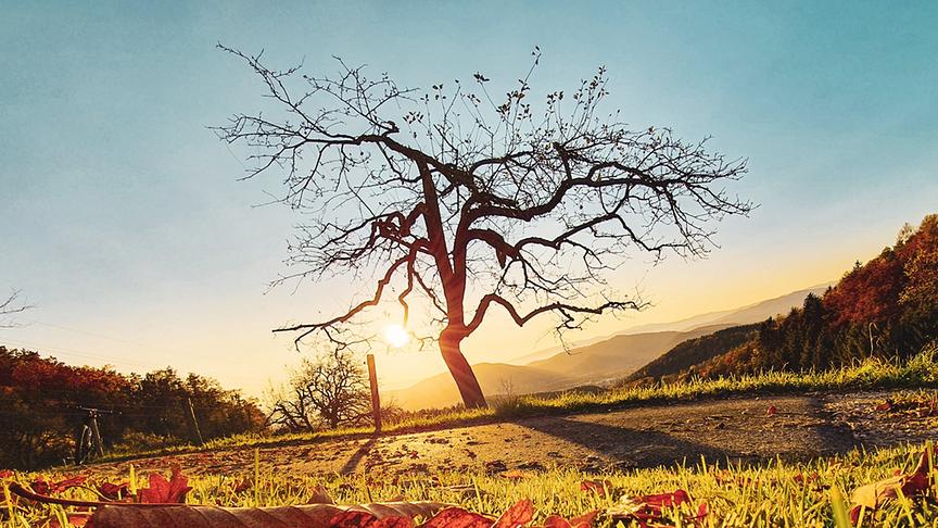 © Wolfgang Ketscher Herbst auf der Grazer Platte. Wunderschöner Sonnenuntergang mit Blick über Graz bis zur Koralpe. (Wolfgang Ketscher)