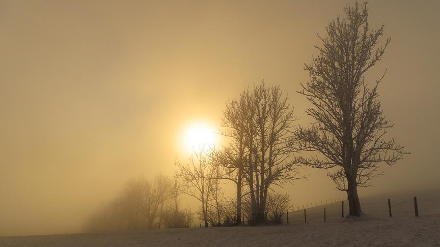© Rudolf Kössl Eine wunderbare Novemberstimmung in Gresten. (Rudolf Kössl)