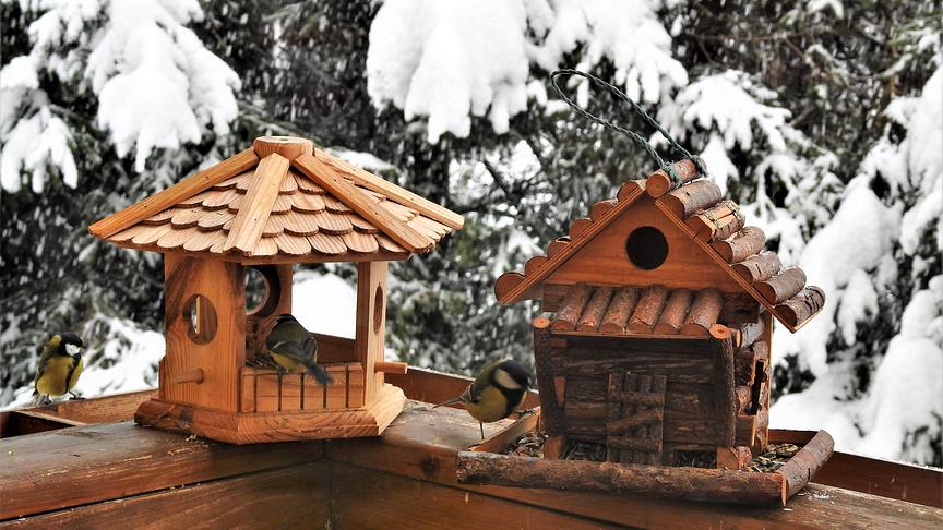 © Roswitha Groinig Reges Treiben am Futterhäuschen bei Schneefall. (Roswitha Groinig)