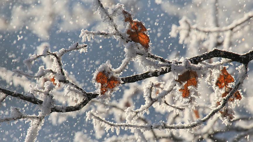 © Peter Grill Der Herbst hat verloren, denn der Winter ist da. (Peter Grill)