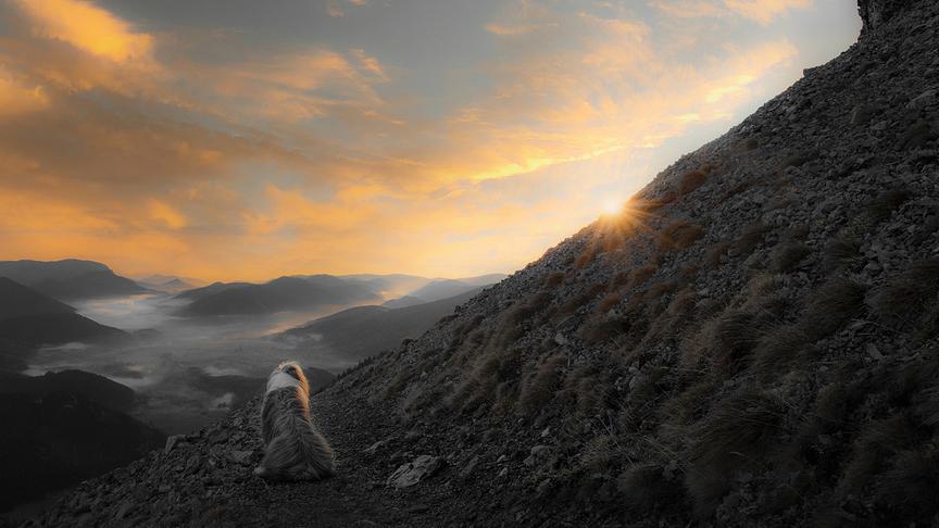© Andrea Haberfehlner Sonnenaufgang am Schneeberg Blickrichtung Puchberg. (Andrea Haberfehlner)