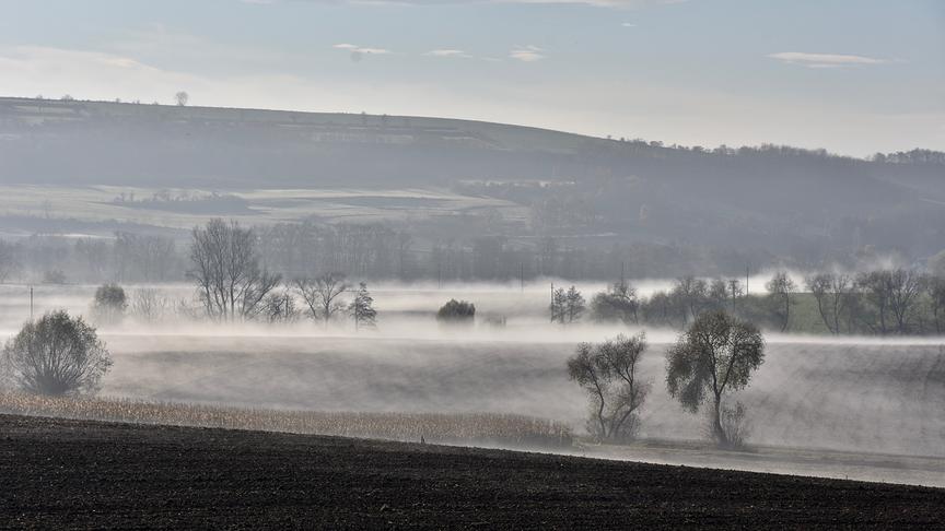 © Franziska Dostal Nebelstimmung im Weinviertel. (Franziska Dostal)