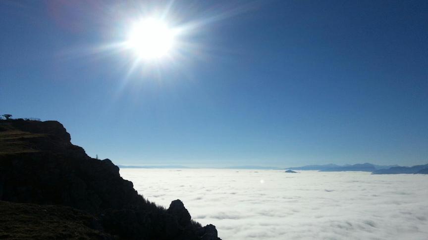 © Silvia Hernaus Über dem Nebel mit Blick auf die Aflenzer Bürgeralm. (Silvia Hernaus)