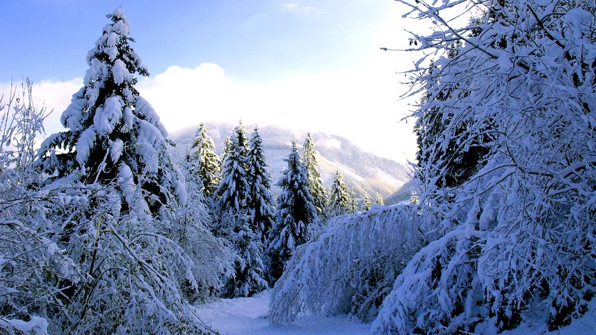 © Franz Fuchsluger Verschneite Wanderung am Knieberg. Im Hintergrund der frostige Prochenberg-Ybbsitz. (Franz Fuchsluger)