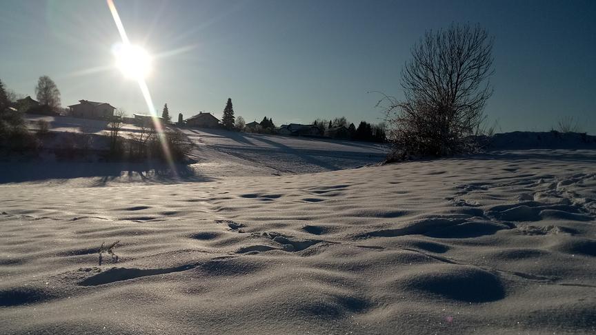 © Simone Schrattenecker Sonniger Nachmittag in Reichenthal. (Simone Schrattenecker)