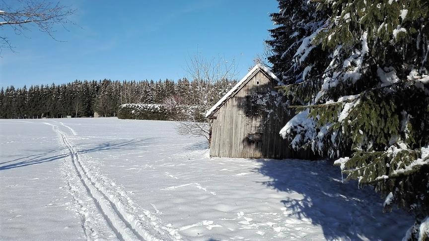 © Evelyne Füreder Erste Langlaufspuren im neuen Schnee, der Winter ist endlich da. (Evelyne Füreder)