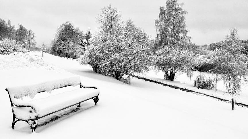 © Friederike Kerschbaum Verschneite Winterlandschaft. (Friederike Kerschbaum)