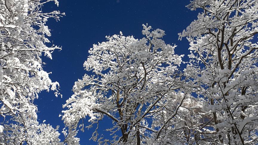 © Ingrid Mathä Winterwunderland am Semmering. (Ingrid Mathä)