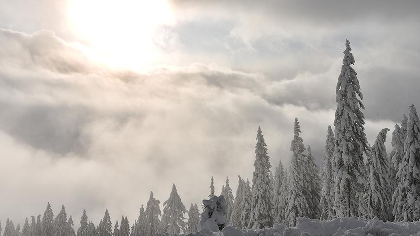 © Weber R. St. Magdalen/ Dobratsch. (Weber R.)