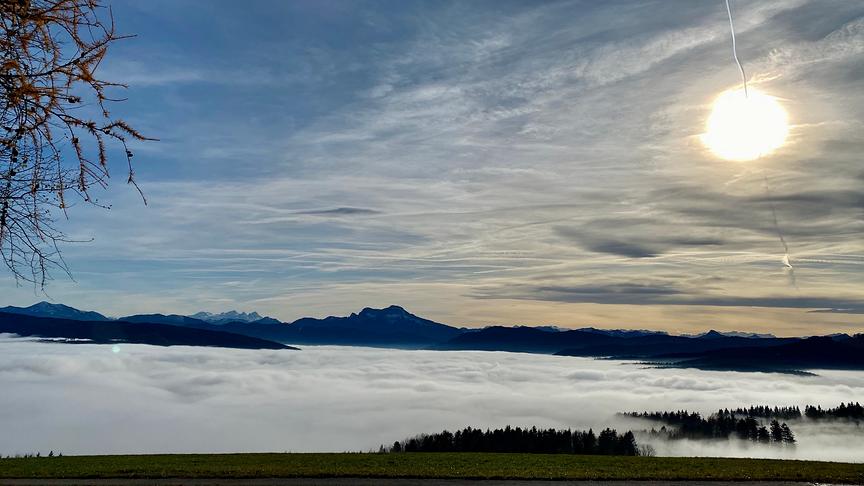 © Kogler Ferdinand Foto wurde am Lichtenberg bei Sankt Georgen im Attergau aufgenommen. Zu sehen sind unter anderem der Schafberg und der Dachstein. (Kogler Ferdinand)