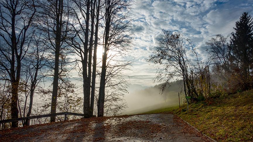© Fuchshuber Friedrich Kampf zwischen Sonne und Nebel am Gmundnerberg. (Fuchshuber Friedrich)