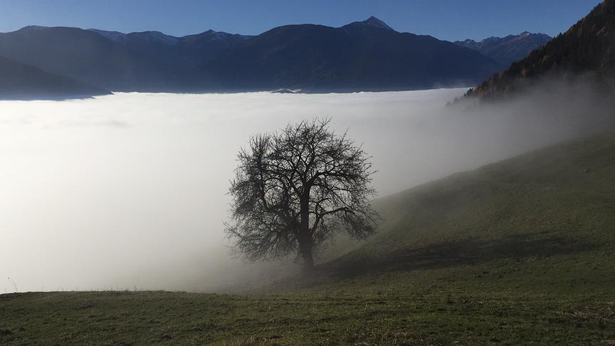 © Werner Wernig Blick vom Hühnersberg Richtung Salzkofel. (Werner Wernig)