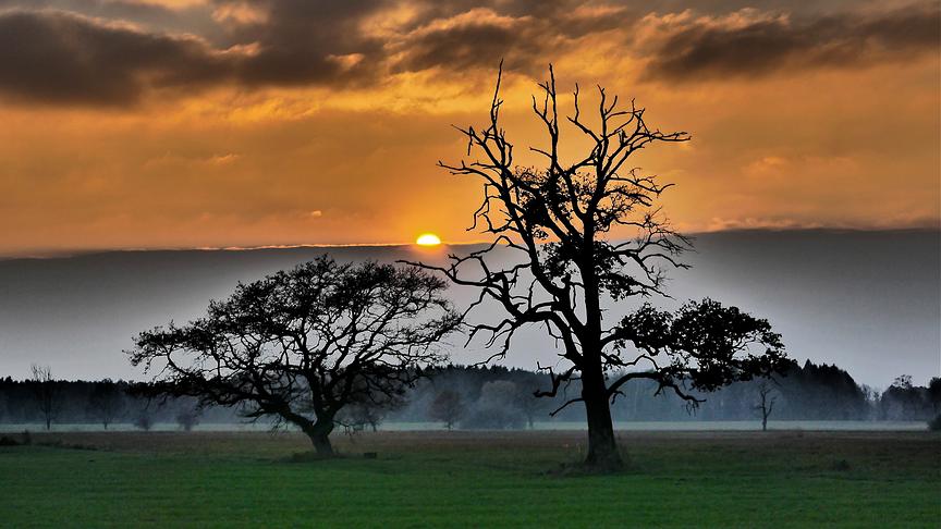 © Willi Kirschner Sonnenuntergang in Lauteracher Ried. (Willi Kirschner)