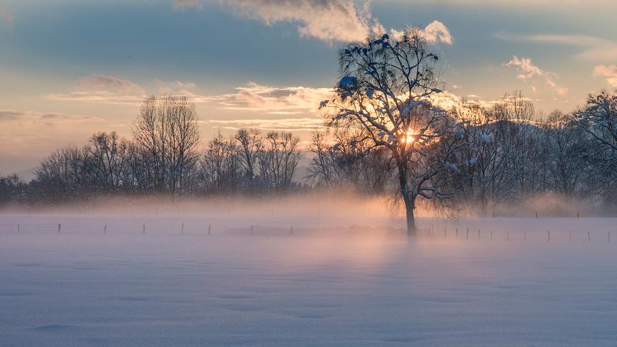© Manfred Gasser Sonnenuntergang. (Manfred Gasser)