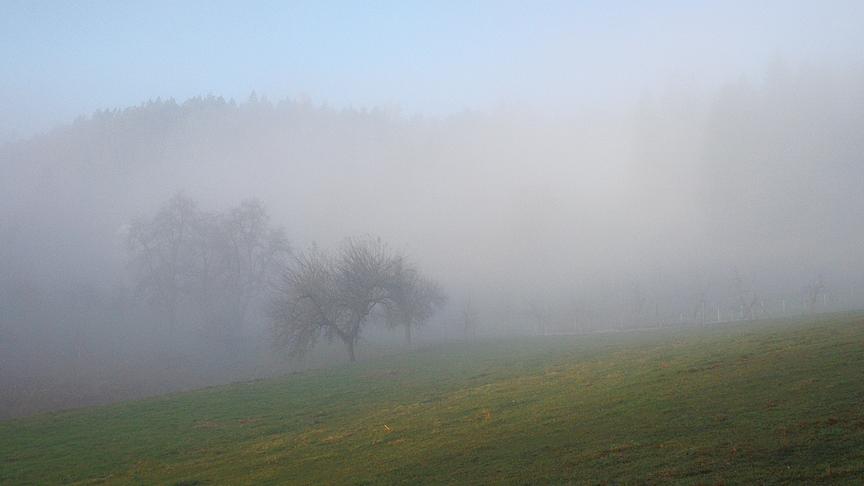 © Doris Blüm Mystisch. Im Auge des Nebels. (Doris Blüm)