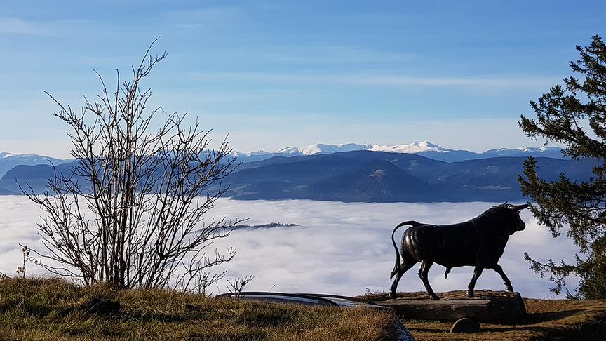 © Karin Striednig Blick vom Magdalensberg 1053 m, Klagenfurter Hausberg, mit dem Stier in Richtung Westen. Ein herrlicher Nebelteppich zum Drüberlaufen. (Karin Striednig)