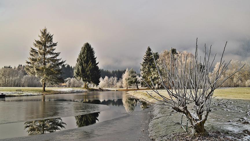 © Ingrid Grossauer Bei frostigen -9° verwandelte sich die Natur in eine wunderschöne "Frostlandschaft" (Ingrid Grossauer)