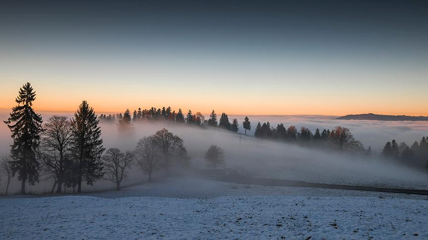 © Manfred Gasser Abendstimmung - Nebel über dem Vorarlberger Rheintal. (Manfred Gasser)