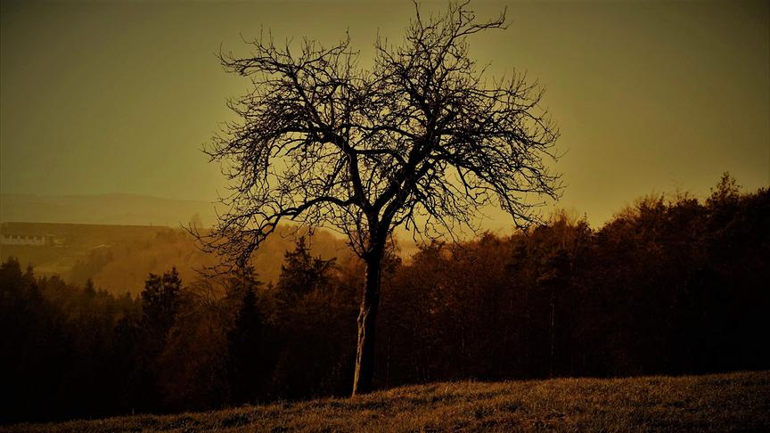 © Karl Zettelbauer Oststeirische Winterlandschaft 2019. (Karl Zettelbauer)