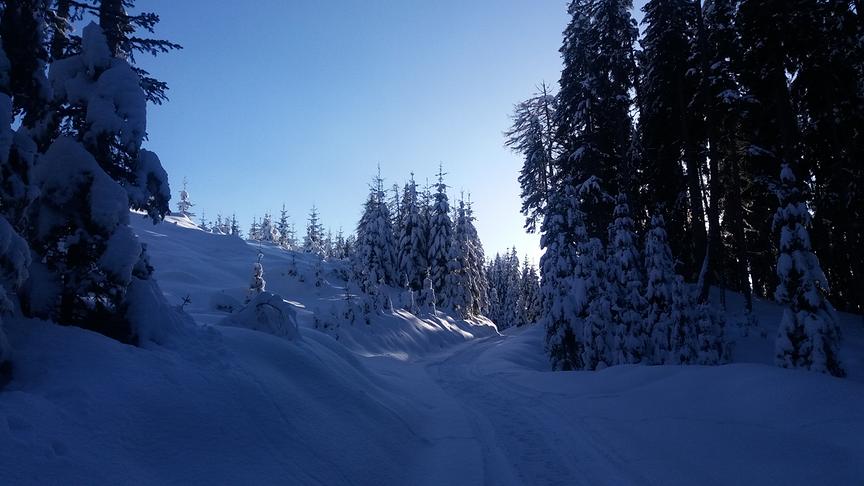 © Weitlaner Maria Märchenhafte Winterlandschaft. (Weitlaner Maria)