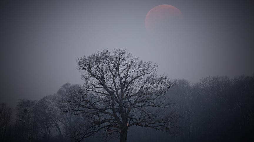 © Reinhard Eiböck Schlussphase der Mondfinsternis über dem Tullnerfeld bei Utzenlaa. (Reinhard Eiböck)