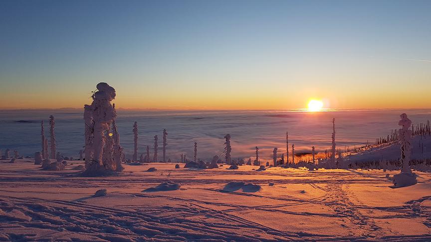 © Hofer Stefan Sonnenuntergang am Plöckenstein. (Hofer Stefan)