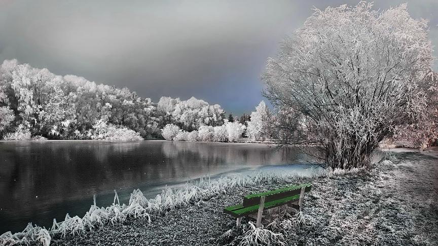 © Peter Grill Rauhreif am Fischdeich bei Schwanenstadt. (Peter Grill)