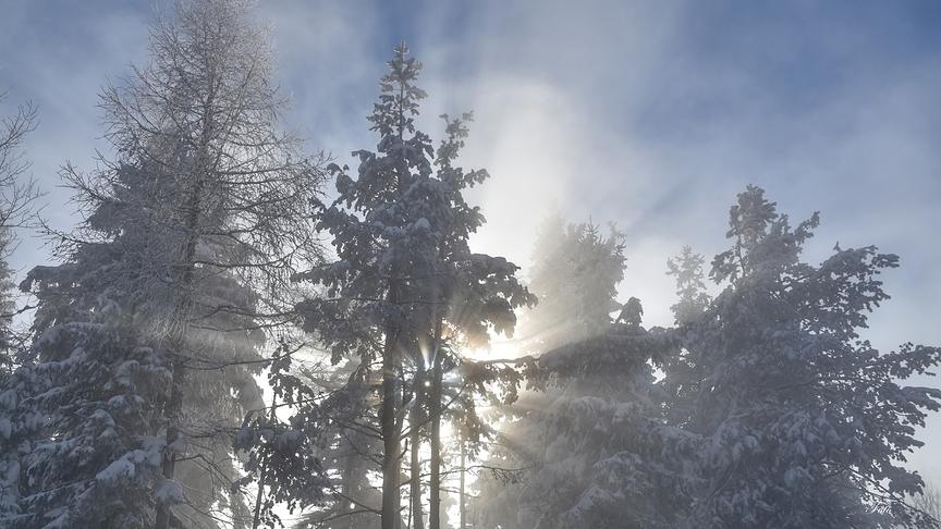 © Unterrainer Lydia Ein wunderbares Spiel zwischen Nebel und Sonne zaubert dieses Foto. (Unterrainer Lydia)