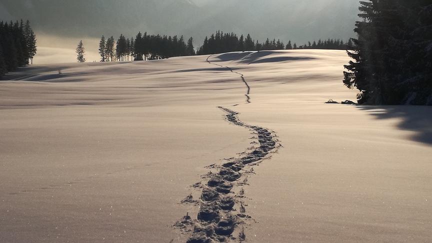 © Christian Stangl Schneeschuhwanderung auf der Stubau in Weyer. (Christian Stangl)