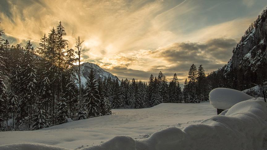 © Gerlinde Ainhirn (Gerlinde Ainhirn)